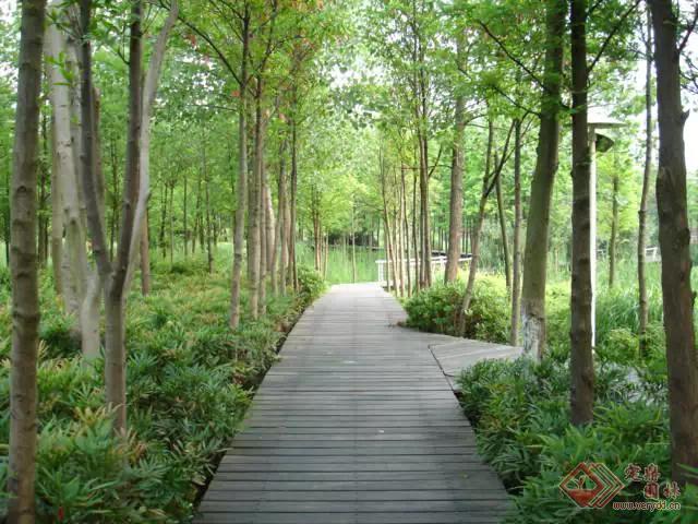 宁波市有什么公园