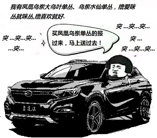 驭胜二手