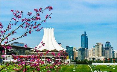 外地“电驴”南宁叫卖，每辆3000元。交警：见到一律查扣, 你怎么看？