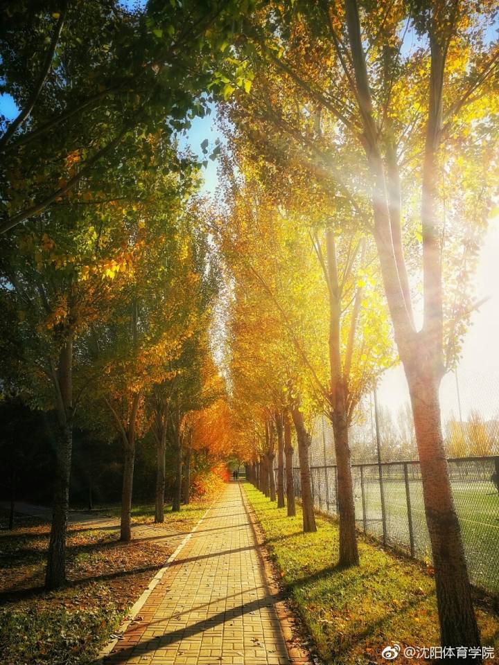 中专怎么考上沈阳体育学院? 中专怎么考上沈阳体育学院?