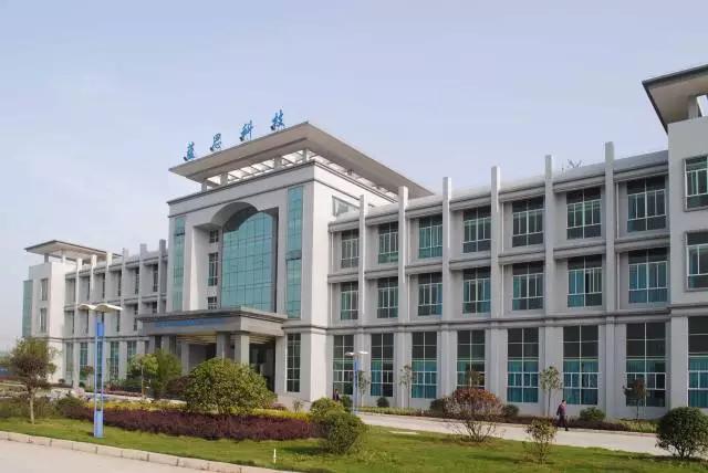 长沙市要什么有什么公司