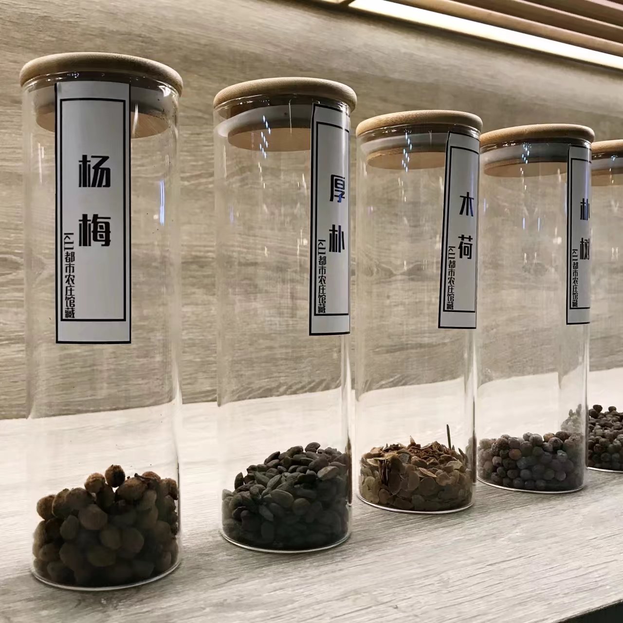 k11（K11是什么？）