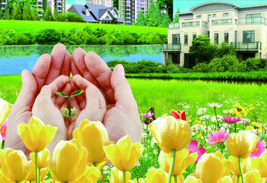 大连市哪个医院做肺ct