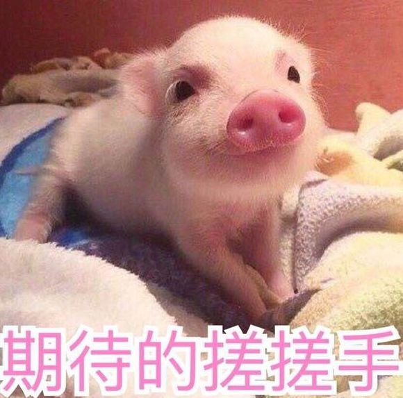 年底好物分享美妆
