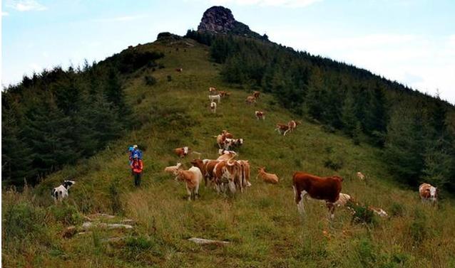 保定市最高的山是哪里 保定市最高的山是哪里