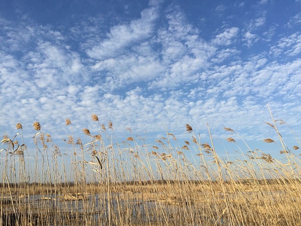 西沙湿地西沙湿地公园