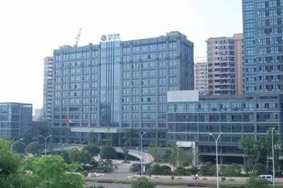长沙市要什么有什么公司