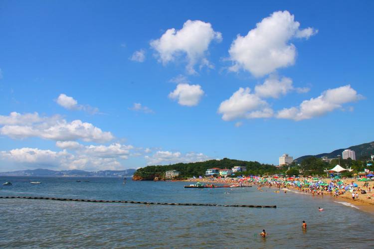 大连市和青岛市哪个好