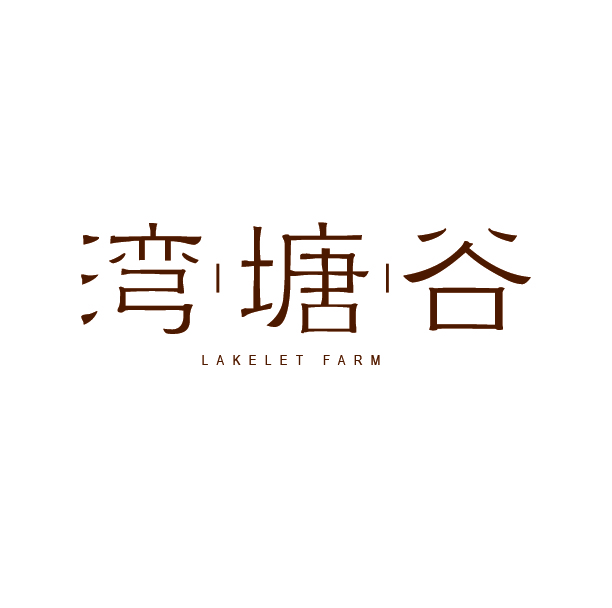 福建梯田哪个最美