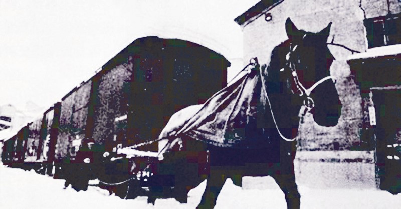 沈阳市公交怎么坐地铁