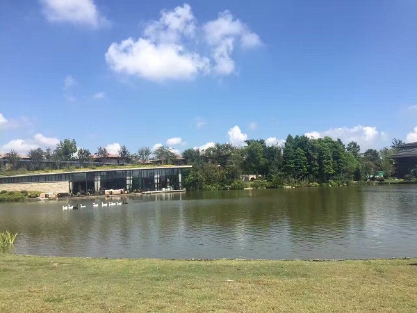 西沙湿地西沙湿地公园 西沙湿地西沙湿地公园