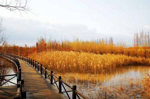 西沙湿地西沙湿地公园 西沙湿地西沙湿地公园