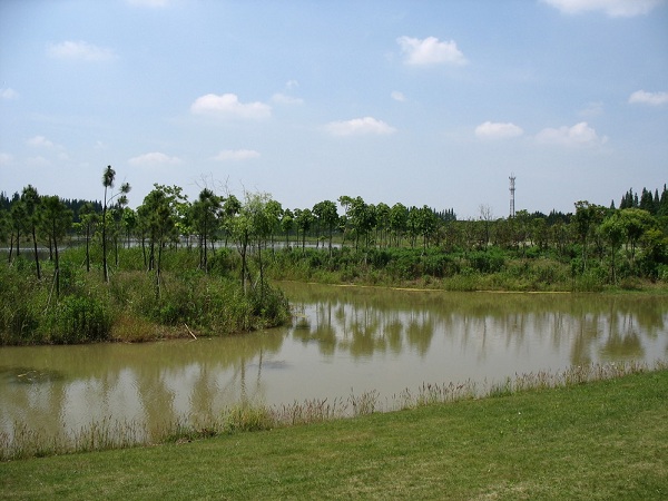 西沙湿地西沙湿地公园 西沙湿地西沙湿地公园