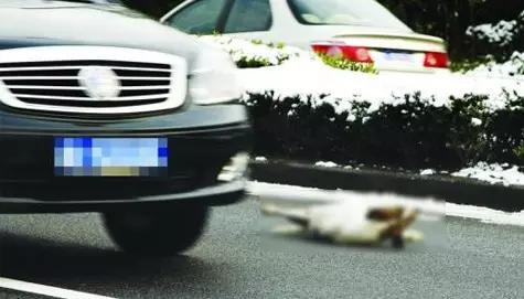 手机摄影也能抓住“决定性瞬间”，你可以分享一下这些瞬间吗？：决定性瞬间