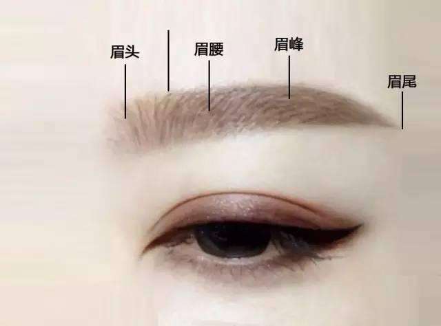 化妆技巧修眉毛

