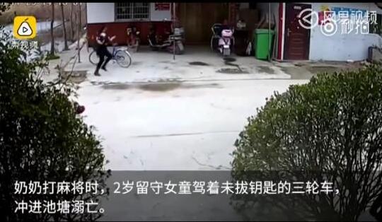 在北方河南地带渔塘能养几种鱼,都养什么鱼好？