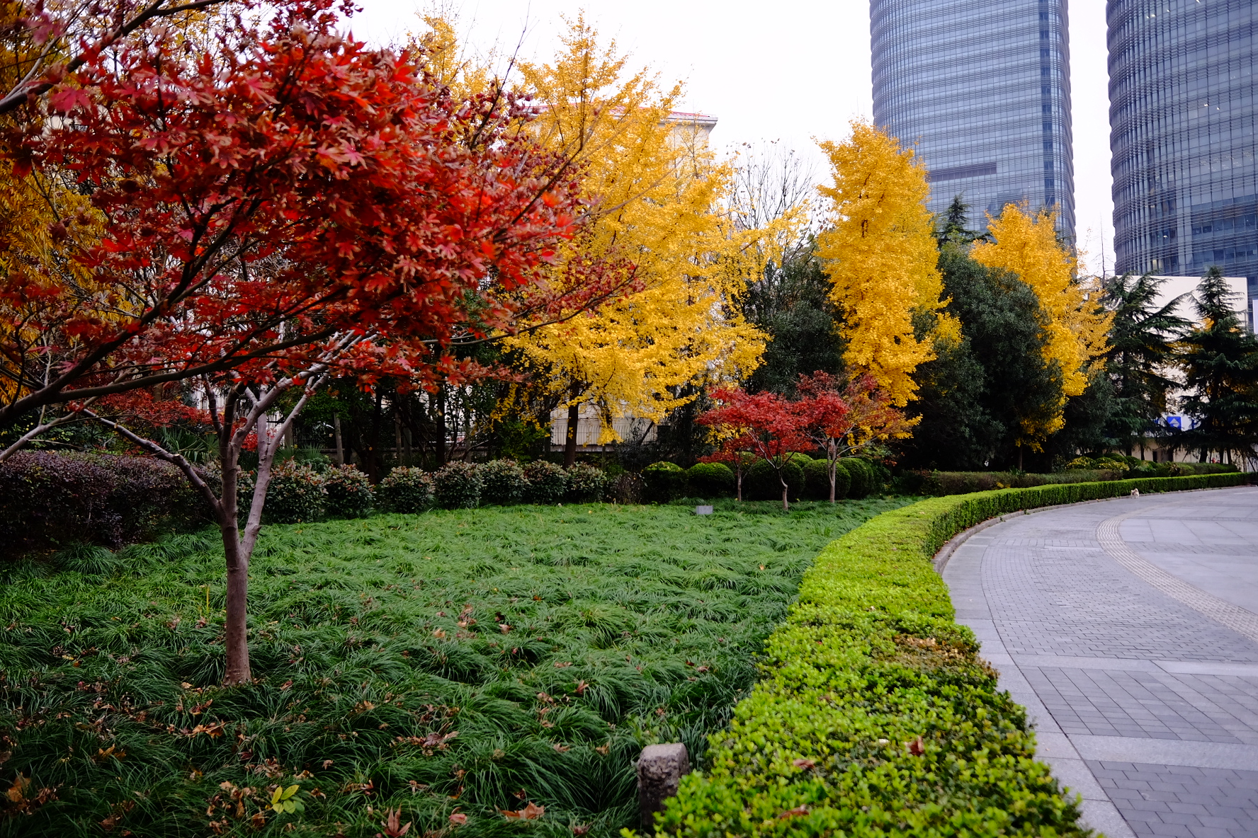 rx1r（索尼rx1r参数？）