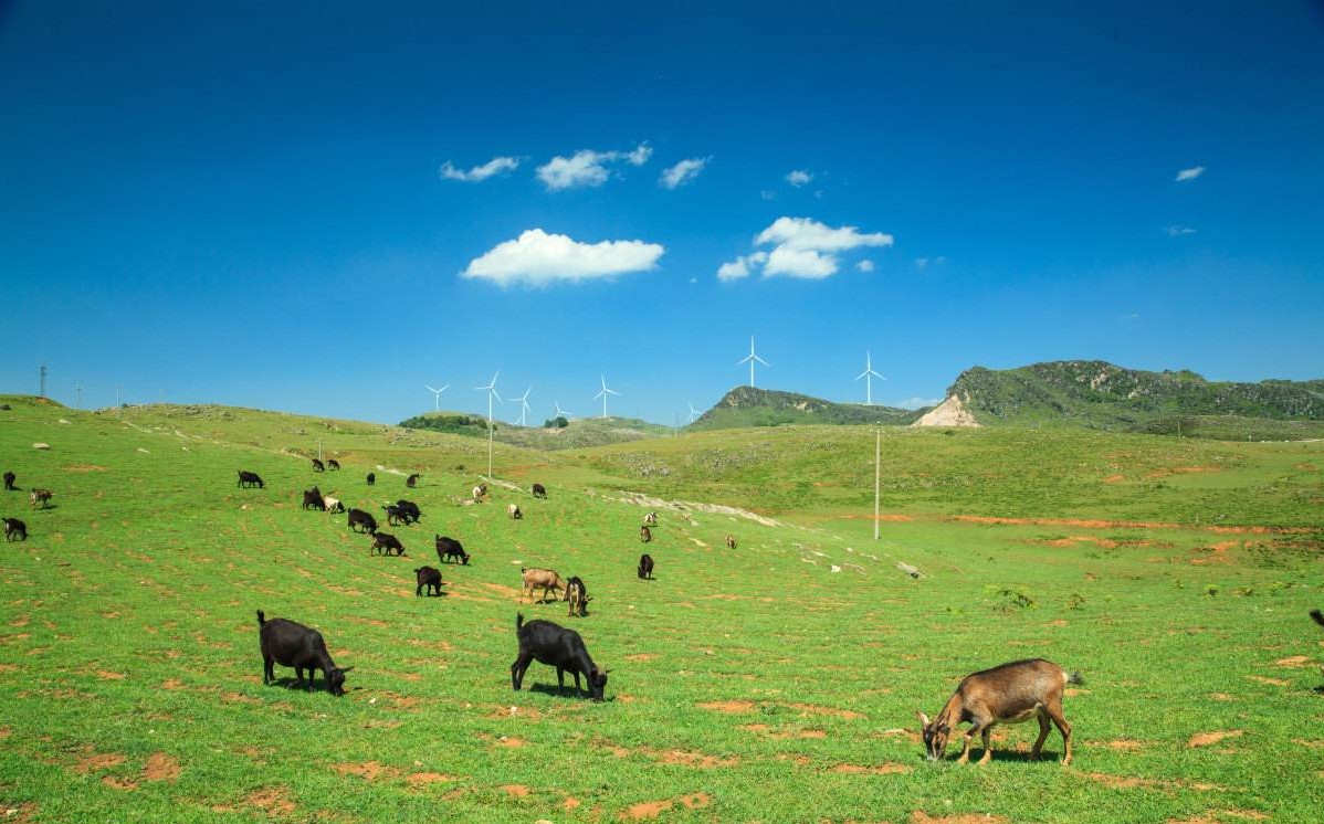 除了海南三亚、广西桂林,还有哪些城市适合拍婚纱照? 除了海南三亚、广西桂林,还有哪些城市适合拍婚纱照?