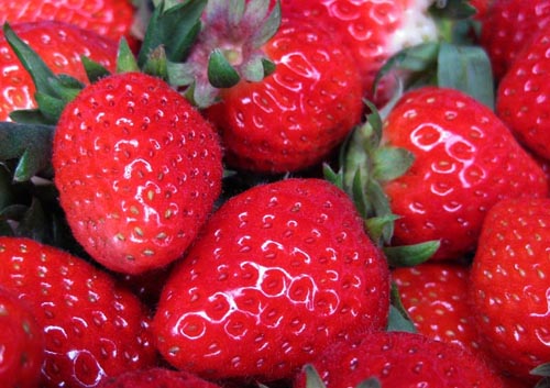 保定市哪里水果好吃 保定市哪里水果好吃