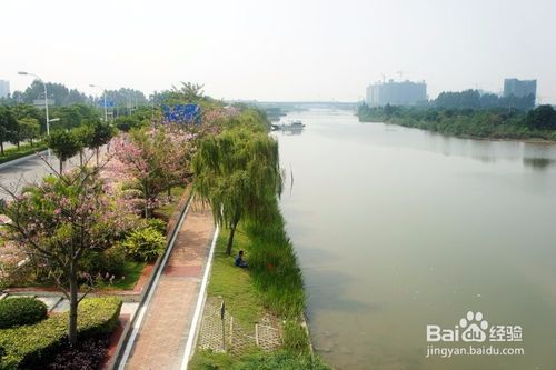 广州市什么地方适合钓鱼