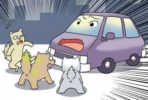 手机摄影也能抓住“决定性瞬间”,你可以分享一下这些瞬间吗?:决定性瞬间 手机摄影也能抓住“决定性瞬间”,你可以分享一下这些瞬间吗?:决定性瞬间