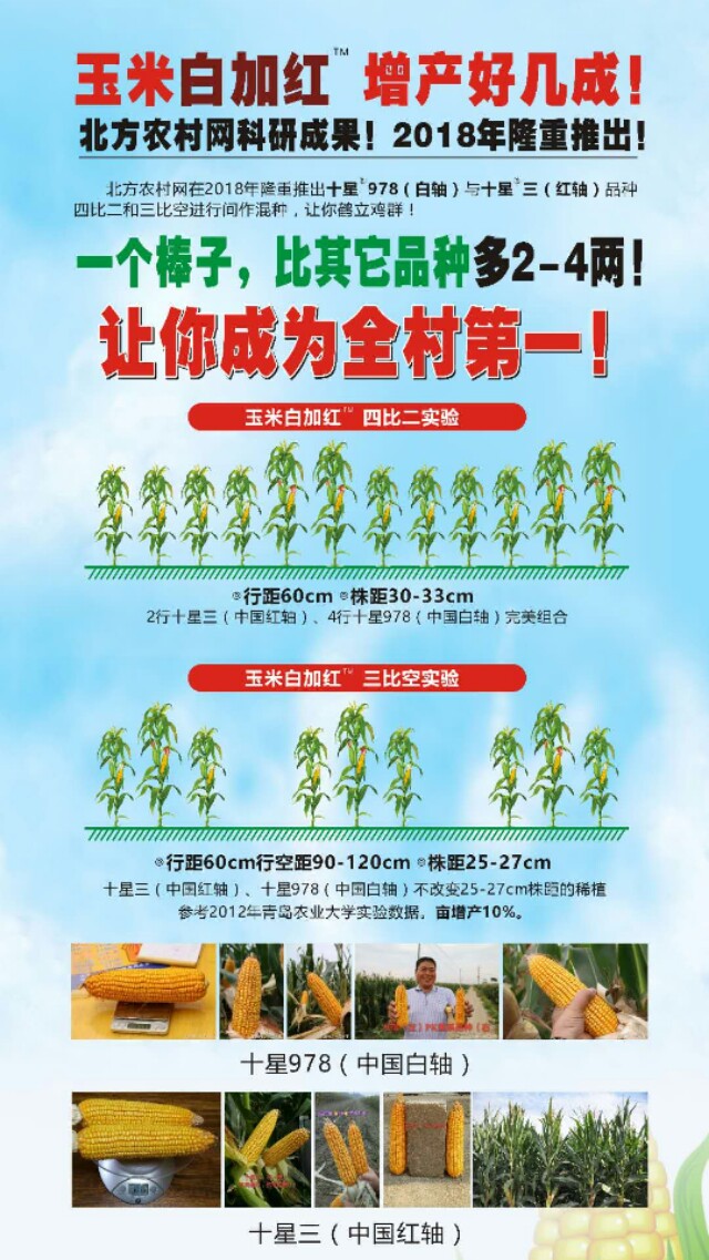 罗布泊汽车品牌介绍图片,罗布泊汽车品牌介绍图片大全