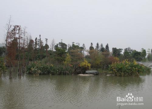 广州市什么地方适合钓鱼