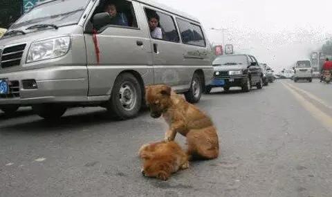 手机摄影也能抓住“决定性瞬间”,你可以分享一下这些瞬间吗?:决定性瞬间 手机摄影也能抓住“决定性瞬间”,你可以分享一下这些瞬间吗?:决定性瞬间