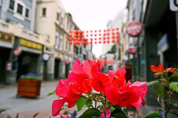 去广州市玩什么