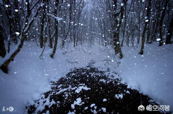 武汉什么时候会下雪？