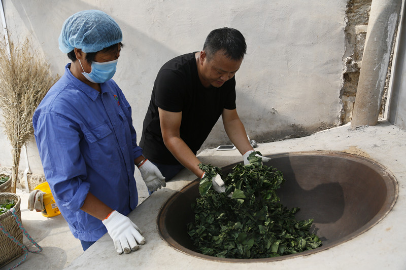 听说河北的红薯叶子300块钱一斤，真的假的？：红薯叶一斤卖300