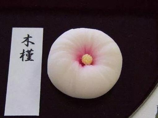 日本海外生活美食视频播放，日本海外生活美食视频播放大全