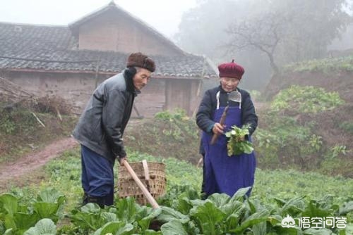西安一六十岁大爷地铁上下跪，叫年轻漂亮女孩妈妈只为要一块钱，你怎么看？：跪地拦车救受伤母亲