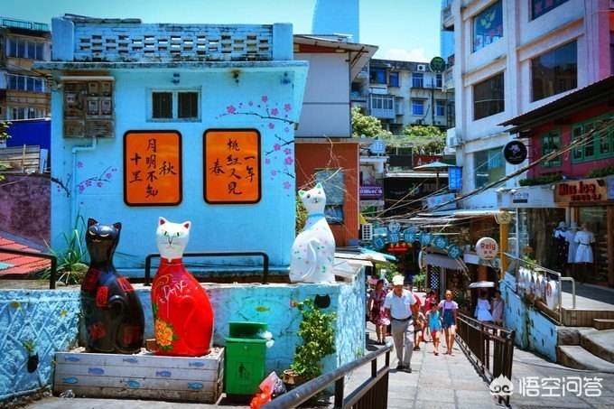 厦门市猫街在哪个地方