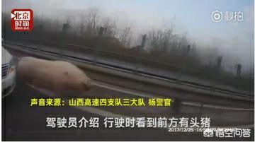 临汾宝马