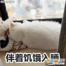 临汾宝马