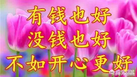 河南洛阳哥们现状怎么样