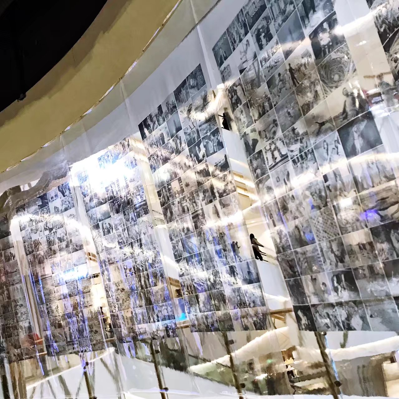 k11（K11是什么？）