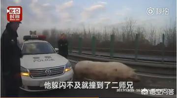 临汾宝马