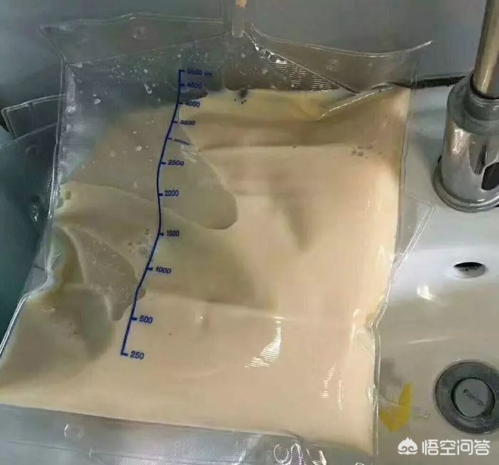 外卖app定制开发温州