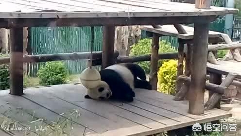 大连市动物园在哪个区