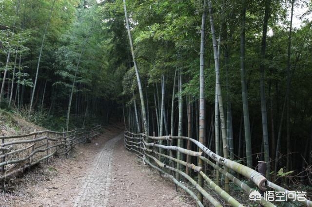 横溪在宁波市的哪个区 横溪在宁波市的哪个区
