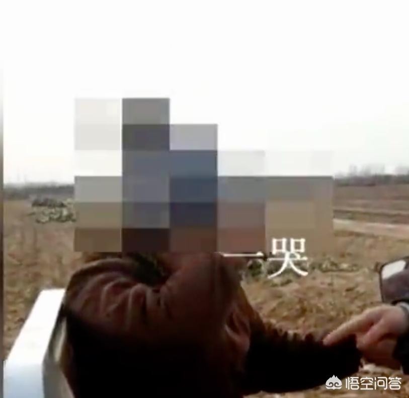 [女子半夜偷菜赔2千]偷菜被抓怎么赔偿？