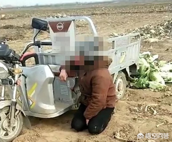 保定一老太太偷菜被抓跪地求饶，菜地主人要1000元赔偿，你怎么看？：女子半夜偷菜赔2千