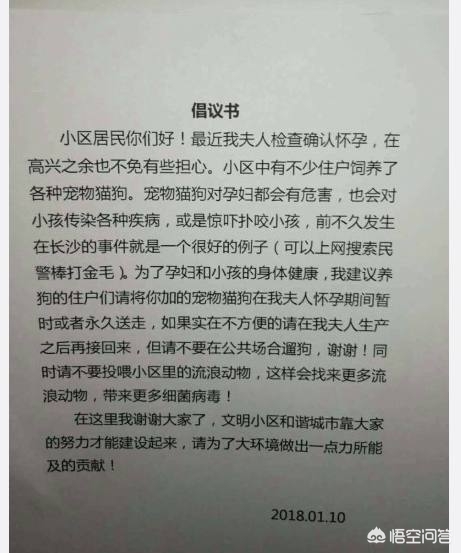 合肥市为什么不整治养狗