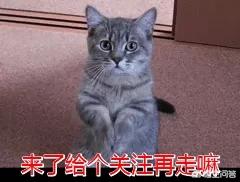 教育培训类app开发