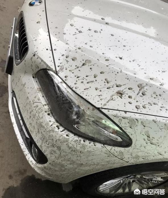 宝马水车