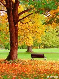 [看不出来]为什么瘦了20斤却看不出来？