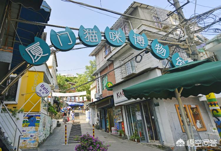 厦门市猫街在哪个地方