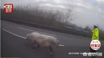 临汾宝马